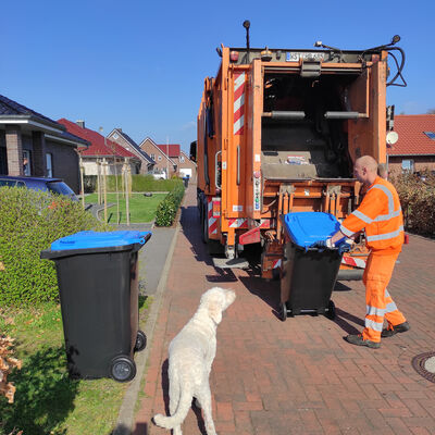 Jens Stamm befördert eine Blaue Tonne zum Heck des Müllfahrzeugs.