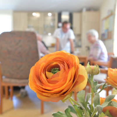 Speisesaals der Seniorenwohnanlage Heisfelde. Im Vprdergrund eine Blume.