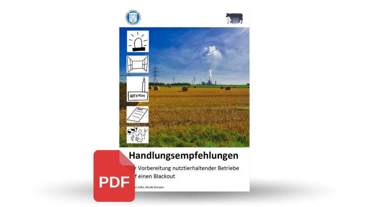 Screenshot Titelseite der Broschüre Handlungsempfehlungen im Falle eines Blackouts in der Nutztierhaltung, davor ein PDF-Download-Symbol