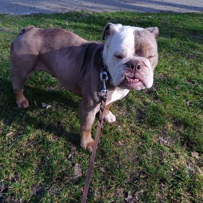 Name: &raquo;Kiwi&laquo;