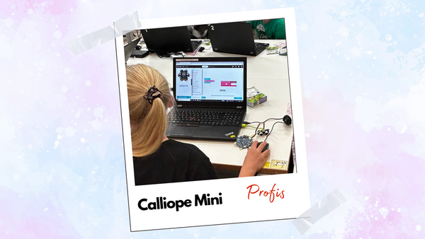 Programmieren f&uuml;r Fortgeschrittene - mit Calliope